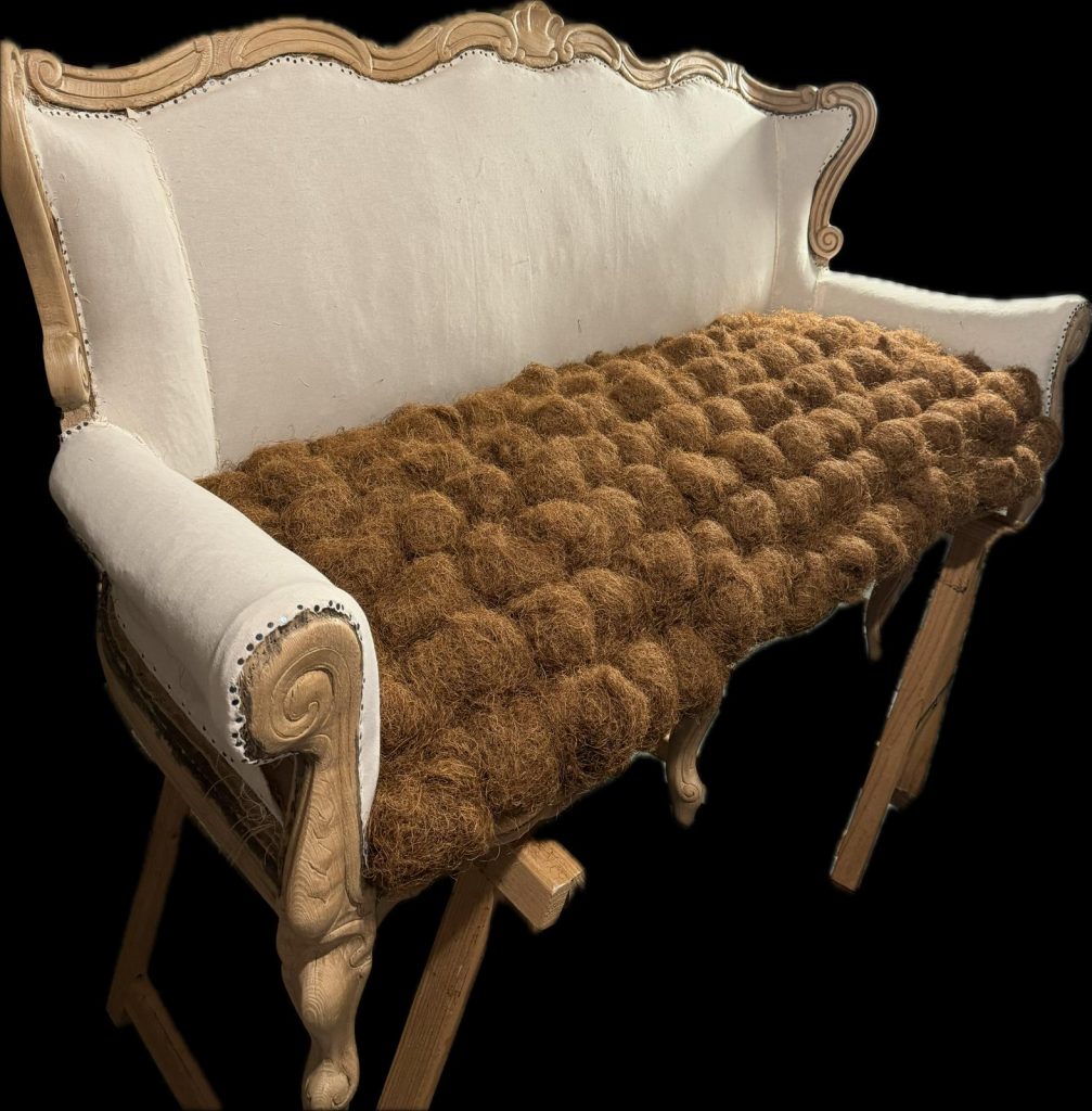 PHOTO 2025 01 12 15 17 46